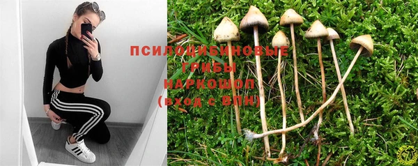 a pvp Пролетарск